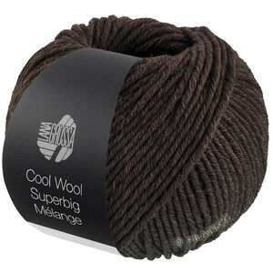 Lana Grossa COOL WOOL Superbig Mélange | 219-gray brown mottled