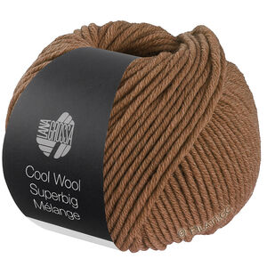 Lana Grossa COOL WOOL Superbig Mélange | 229-nougat mottled