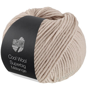 Lana Grossa COOL WOOL Superbig Mélange | 232-gray beige mottled