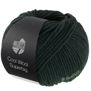 Lana Grossa COOL WOOL Superbig | 29-loden green