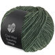 Lana Grossa COOL WOOL Superbig Vintage | 7268-green gray