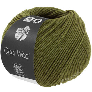 Lana Grossa COOL WOOL Mélange (We Care) | 1506-olive mottled