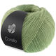 Lana Grossa CORALLO 100g | 09-gray green/Sage green/reseda green