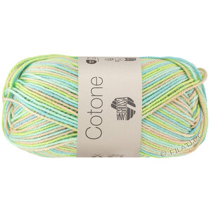 Lana Grossa COTONE  Print/Spray/Mouliné | 359-light beige/light green/mint turquoise/subtle green