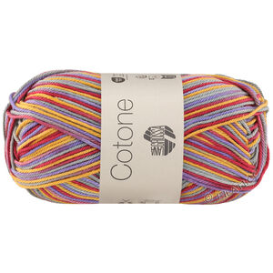 Lana Grossa COTONE  Print/Spray/Mouliné | 364-purple/gray green/yellow/dark pink