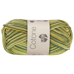 Lana Grossa COTONE  Print/Spray/Mouliné | 367-white green/kiwi green/opal green/patina green