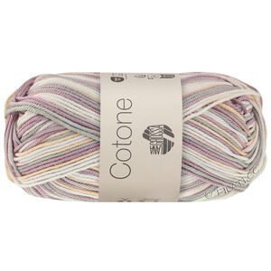 Lana Grossa COTONE  Print/Spray/Mouliné | 369-white/peach/lilac/gray