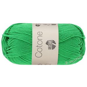 Lana Grossa COTONE | 046-green