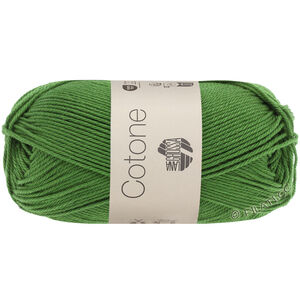 Lana Grossa COTONE | 054-fern green