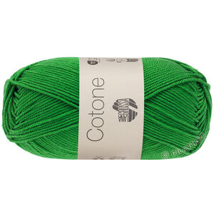 Lana Grossa COTONE | 135-mint green