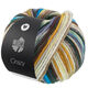 Lana Grossa CRAZY | 03-pale yellow/yellow/dark gray/light gray/dark green/seashell