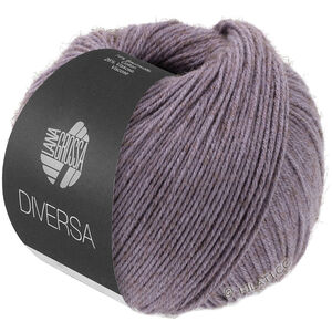 Lana Grossa DIVERSA | 24-gray purple
