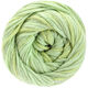 Lana Grossa ECCO | 003-light green