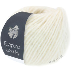 ECOPUNO Chunky from Lana Grossa