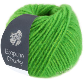 ECOPUNO Chunky from Lana Grossa