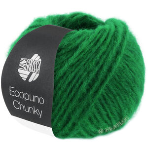Lana Grossa ECOPUNO Chunky | 139-emerald