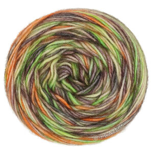 Lana Grossa ECOPUNO Hand-dyed | 54-