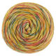 Lana Grossa ECOPUNO Hand-dyed | 58-