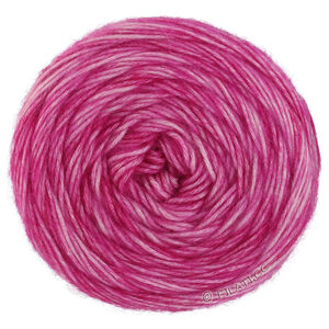 Lana Grossa ECOPUNO Hand-dyed | 66-