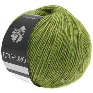 Lana Grossa ECOPUNO | 002-apple green