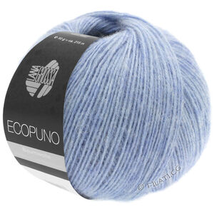 Lana Grossa ECOPUNO | 013-light blue