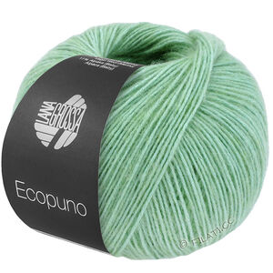 Lana Grossa ECOPUNO | 219-light emerald