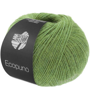 Lana Grossa ECOPUNO | 225-pear green