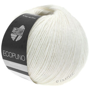 Lana Grossa ECOPUNO | 026-white