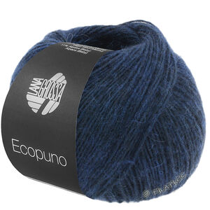 Lana Grossa ECOPUNO | 043-night blue