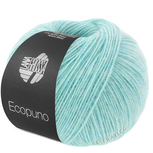 Lana Grossa ECOPUNO | 077-light turquoise