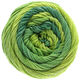 Lana Grossa ELASTICO Dégradé | 707-light green/medium green/dark green/petrol