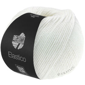 ELASTICO from Lana Grossa