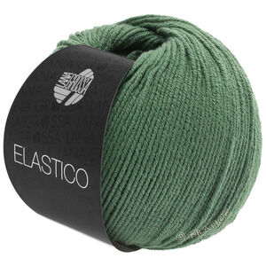 Lana Grossa ELASTICO | 141-reseda green