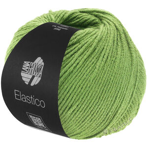 Lana Grossa ELASTICO | 167-pea green