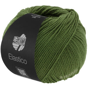 Lana Grossa ELASTICO | 192-leaf green