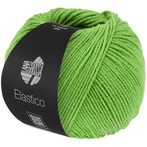 Lana Grossa ELASTICO | 193-spring green
