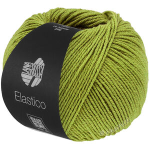 Lana Grossa ELASTICO | 202-pistachio
