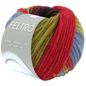 Lana Grossa FELTRO Arco | 444-red violet/blue/pistachio/red/gray brown