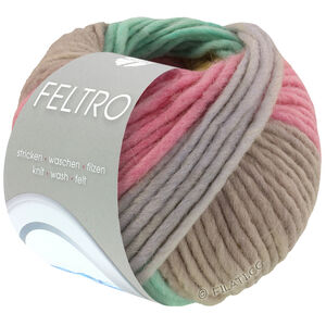 Lana Grossa FELTRO Arco | 446-gray beige/turquoise/yellow/light gray/rose