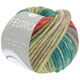 Lana Grossa FELTRO Camino | 844-opal green/light green/pistachio/rust/rosewood/gray brown
