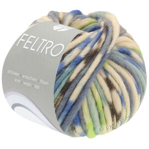 Lana Grossa FELTRO Fuoco | 733-light blue/blue/light gray/dark gray/light green/natural