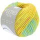 Lana Grossa FELTRO Peak | 1416-yellow/pink/light green/turquoise