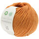 Lana Grossa FOURSEASON (Linea Pura) | 21-brown orange