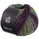 Lana Grossa GIANNA | 06-olive/gray/blackberry/black/petrol