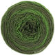 Lana Grossa GOMITOLO 200 Dégradé | 312-dark green/loden