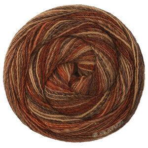 Lana Grossa GOMITOLO DISEGNO | 525-burgundy/beige/rust/taupe/dark brown/gray brown/black brown