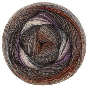 Lana Grossa GOMITOLO GALA | 4041-purple/chestnut/purple/dark gray/gray brown/light gray/raw white