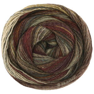 Lana Grossa GOMITOLO INTENSO | 234-gray beige/taupe/red brown/gray brown/dark gray/green brown/dark petrol