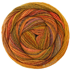 Lana Grossa GOMITOLO INTENSO | 244-orange/nougat/ochre/gray blue/light brown/dark brown/red brown/coral