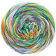 Lana Grossa GOMITOLO PAZZO | 813-blue/green/orange multicolored